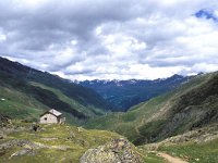 Subalpine and alpine grasslands-Subalpine en alpine Grazige vegetaties